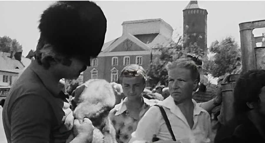 Bożena Dykiel w przerwie podczas zdjęc do serialu "Alternatywy 4" robi zakupy na pułtuskmim rynku