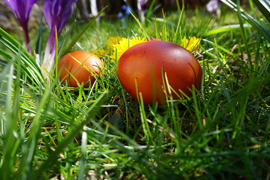 Cebulak, kołatki i turlanie z górki