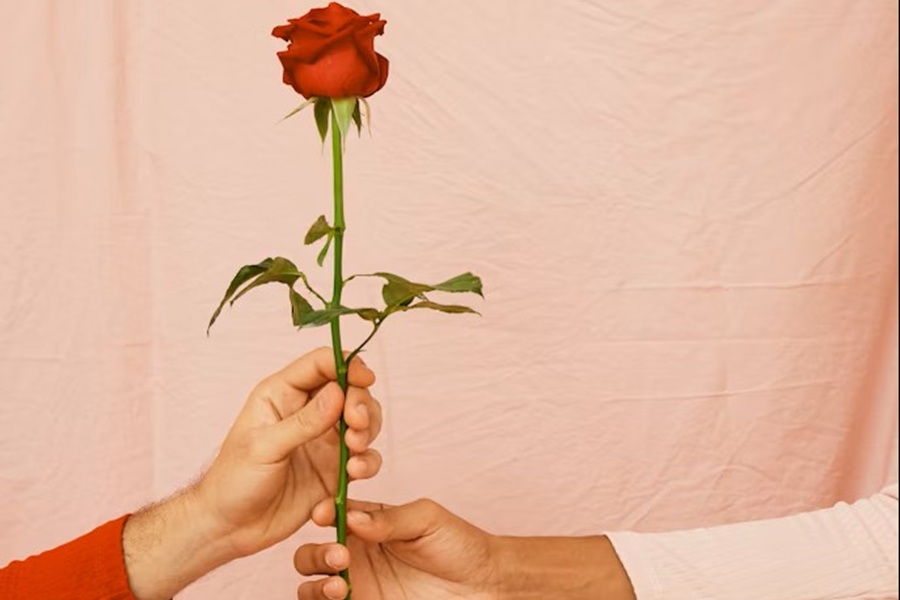 Dzień Kobiet z powiatem