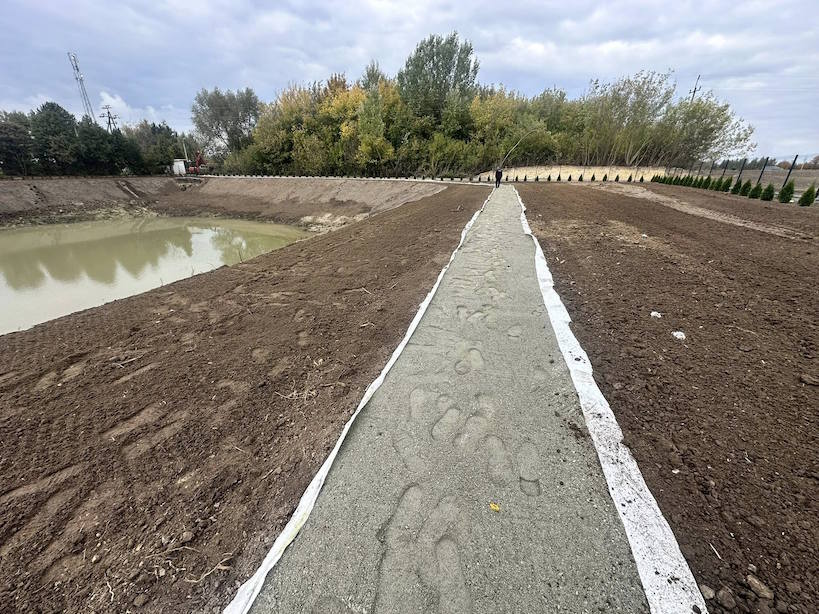 Mazowsze inwestuje w klimat i czyste powietrze