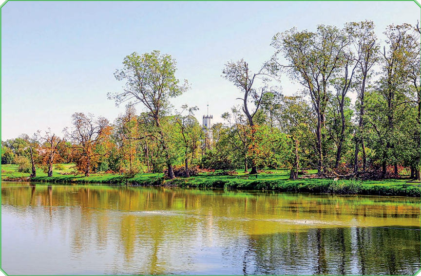 park w Opinogórze zniszczenia