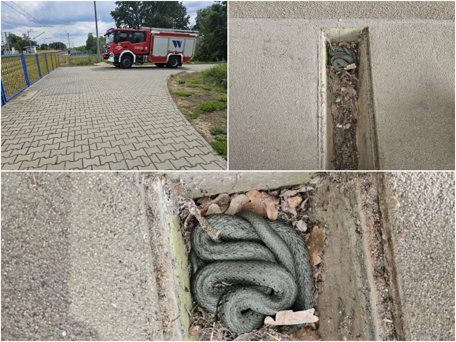 Fot. OSP Sońsk