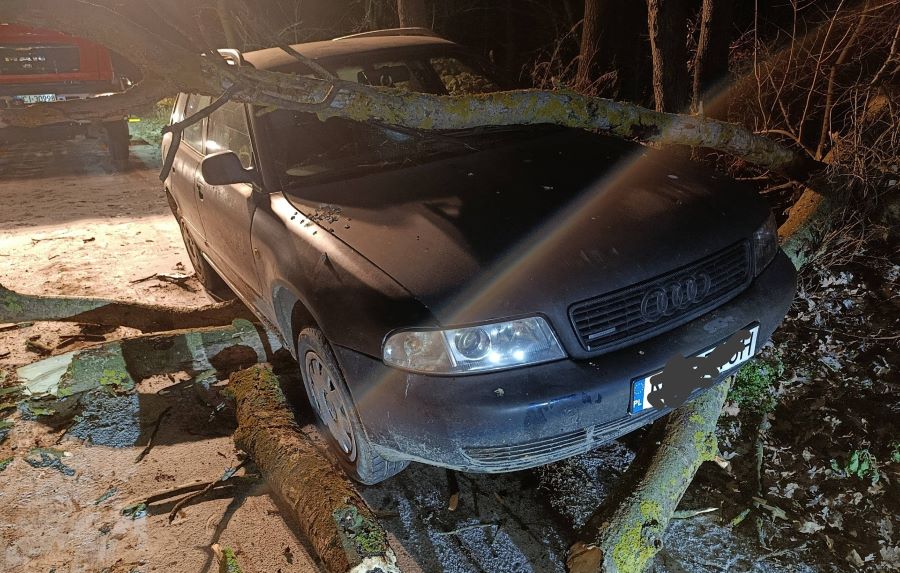 powalone drzewo na samochodzie