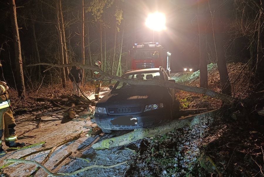 drzewo spadło na samochód