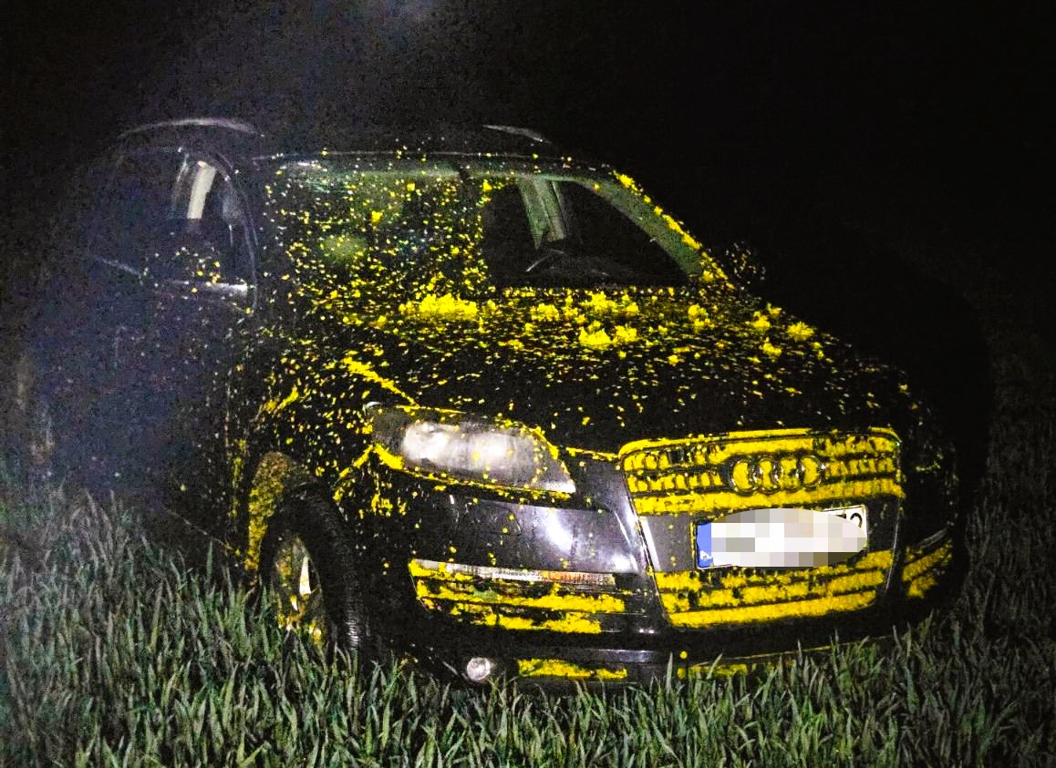 Uciekał Audi przez pole rzepaku. Chciał ukraść paliwo z ciężarówek