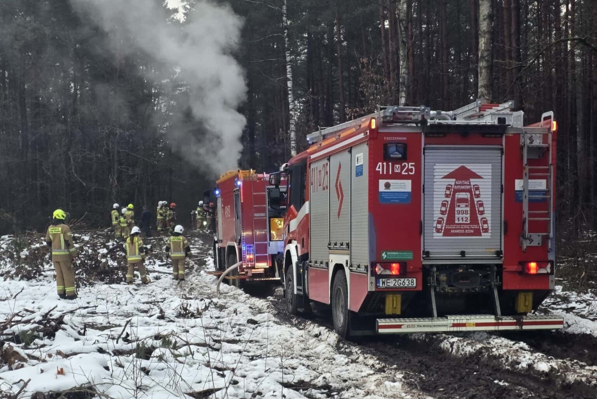 straż pożarna, wozy straży pożarnej, strażacy, las, dym