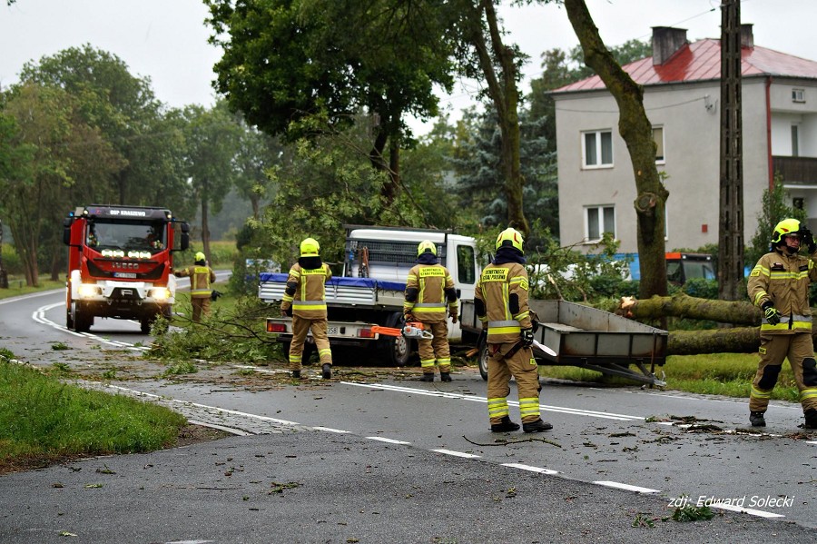 Groźne zdarzenie w Kraszewie. Drzewo runęło tuż przed nadjeżdżający samochód