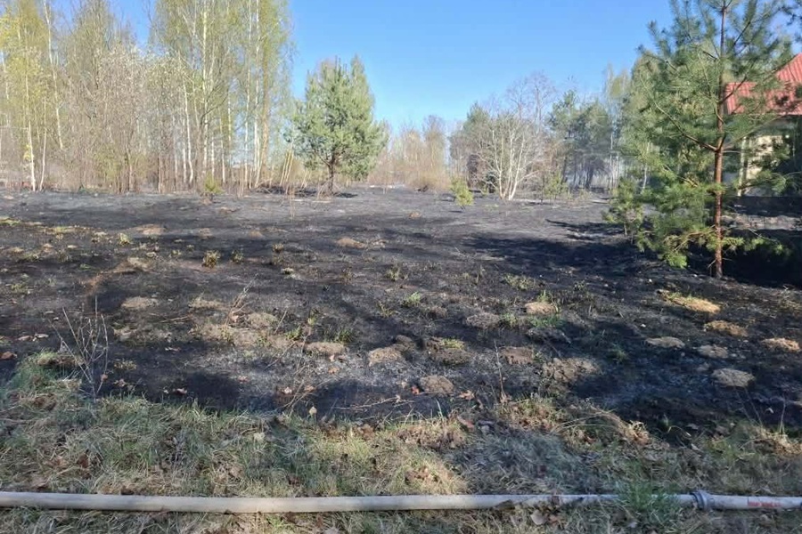 Wypalanie traw wymknęło się spod kontroli