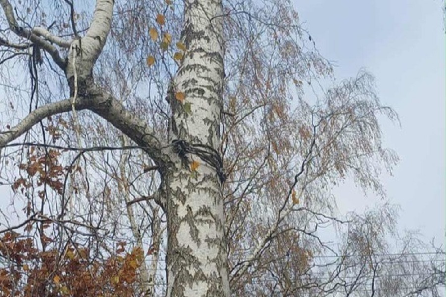 Auto zaczepiło o stalową linkę rozciągniętą w poprzek drogi