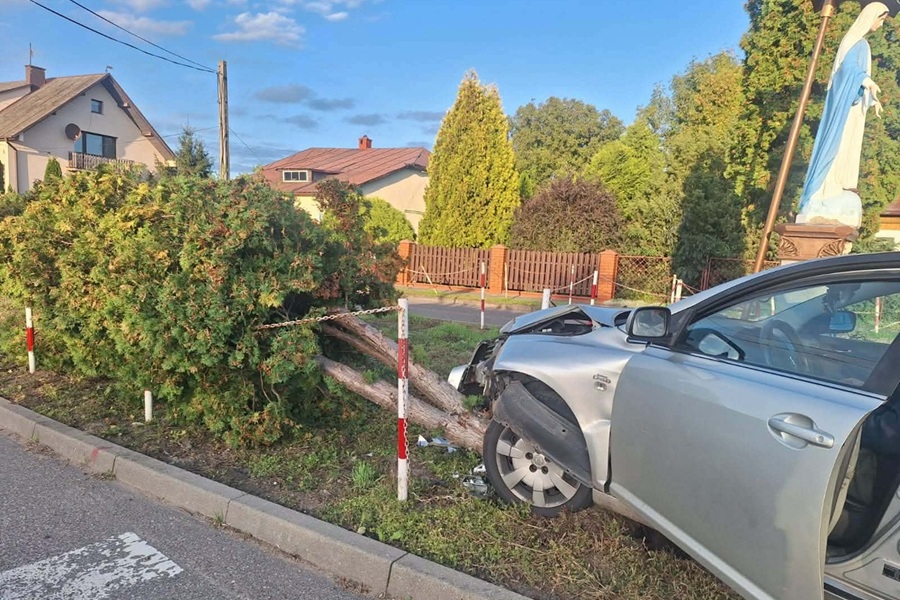 Próba ucieczki przed policją zakończyła się w tujach