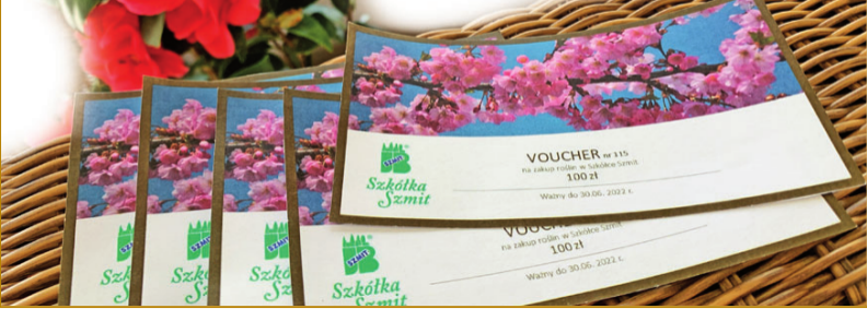 voucher-szmit
