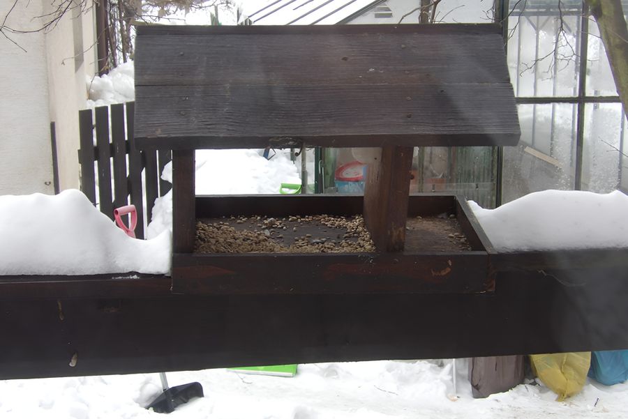 Karmik dla ptaków na moim balkonie 