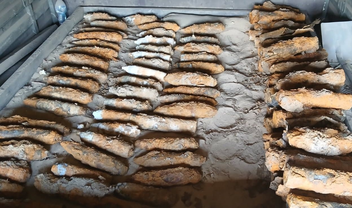 Kilkadziesiąt niewybuchów z II wojny światowej na działce w gminie Płońsk