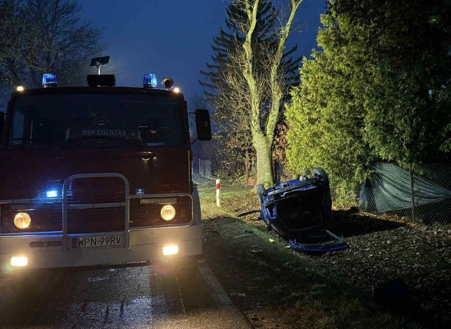 Auto uderzyło w ogrodzenie. Kierowca w ciężkim stanie