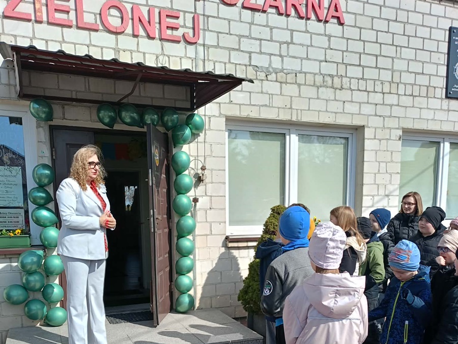 Zielona... biblioteka