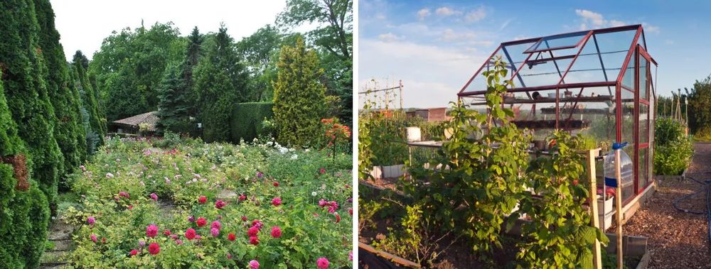 Działkowcy z szansą na 30 tysięcy złotych. Nabór wniosków zamknięty