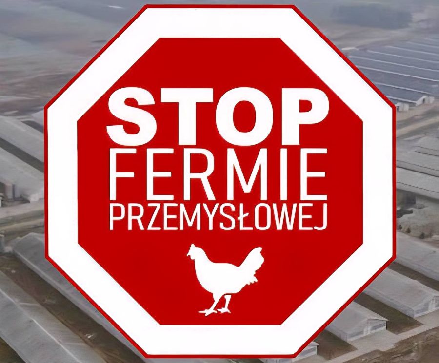 Radni powiatu przeciwni lokalizacji ferm drobiu w Żychowie i Jarocinie 